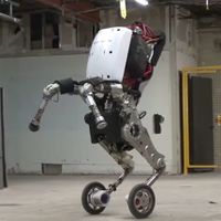 Boston-dynamics-robot.jpeg
