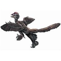 Anchiornis.JPG
