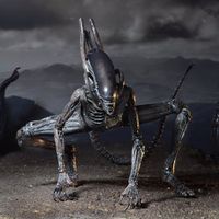 Alien-covenant-xenomorph.jpg