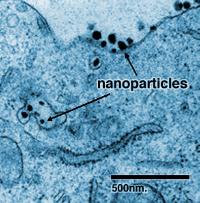 File:Cancer-nanoparticles.jpg