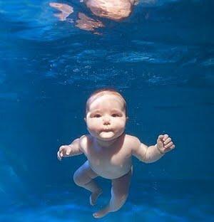 File:Aquatic ape.jpg