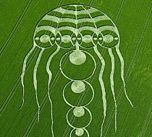 File:Jellyfish-crop-b.jpg
