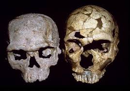 File:Jebel Irhoud skull.jpg