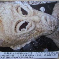 File:Chinese-alien-head.jpg