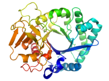 File:652 protein folding.png