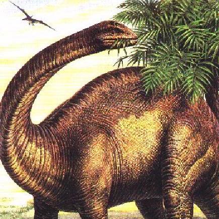 File:Brontosaurus.jpg