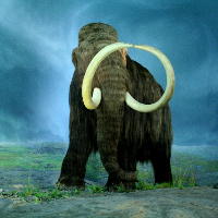 File:Mammoth.jpg