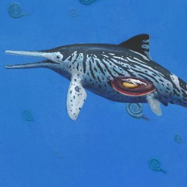File:Ichthyosaur1.jpg
