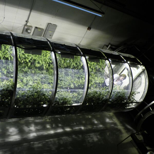 File:873 greenhouse space.jpg