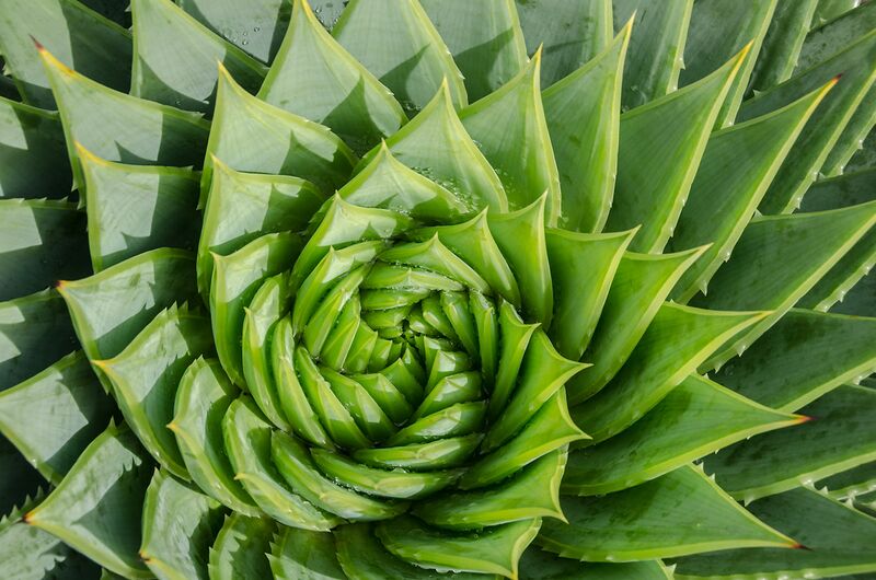 File:871 spiral symmetry.jpg