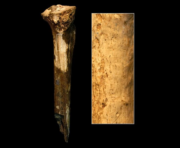 File:939 Cannabal Hominid.jpg