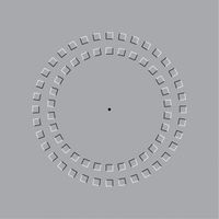 Pinna-illusion-image.jpg