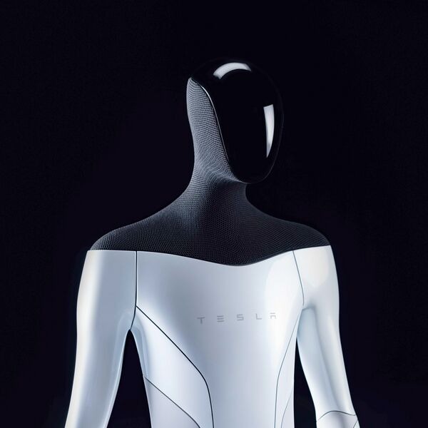 File:865 Tesla Bot.jpg