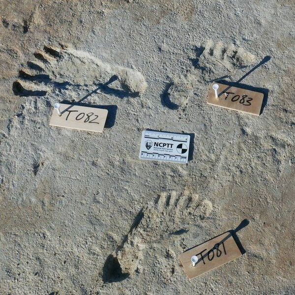 File:847 human footprints.jpg
