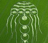 Jellyfish-crop-b.jpg