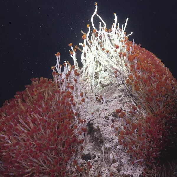 File:944 Undersea.jpg