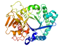 652 protein folding.png