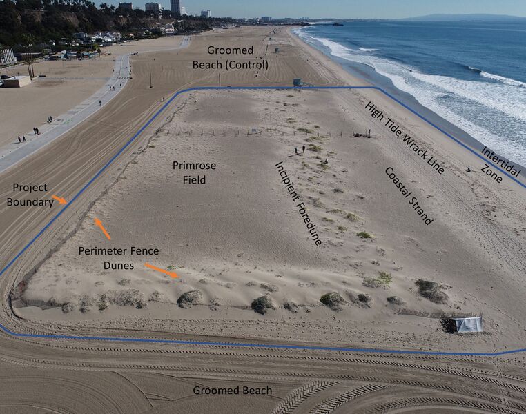 File:937 coastal erosion.jpg