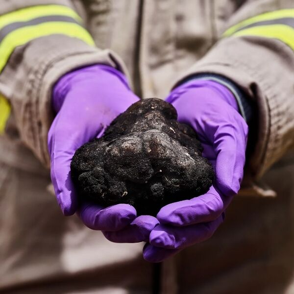 File:886 polymetallic nodules.jpg