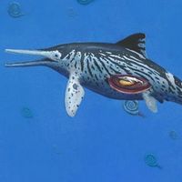 Ichthyosaur1.jpg