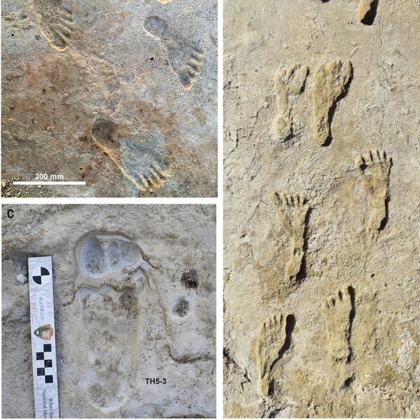 File:953 white sands footprints.jpg